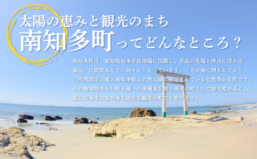 食事券 3000円 磯料理 海のみさと 海鮮 海鮮丼 磯料理 宴会 オーシャンビュー レストラン イクラ しらす丼 大あさり さざえ えびフライ 南知多 愛知