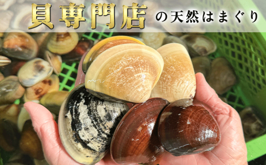 岬だよりの 希少 天然はまぐり 中サイズ 500g×4袋