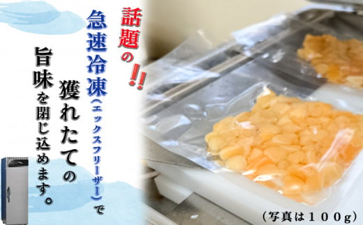 岬だよりの＜貝専門店＞天然の青柳小柱　100g×10袋