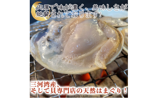 岬だよりの 希少 天然はまぐり 特大サイズ 500g×2袋