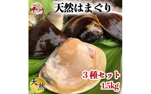 岬だよりの 希少 天然はまぐり 3種セット 1.5kg