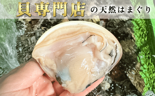 岬だよりの＜個包装＞大粒!天然はまぐり(特特大サイズ)170g前後×5個入り