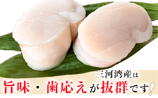 岬だよりの＜天然＞中サイズ 平貝むき身セット 約450g