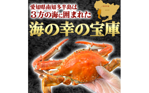 カニ 1kg (約3杯前後) 冷凍 ボイル済み 調理済み 国産 愛知県 南知多町 ワタリガニ カニ 蟹 カニ爪 蟹爪メス 贈答 プレゼント