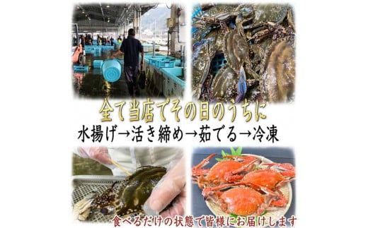 カニ 1kg (約3杯前後) 冷凍 ボイル済み 調理済み 国産 愛知県 南知多町 ワタリガニ カニ 蟹 カニ爪 蟹爪メス 贈答 プレゼント