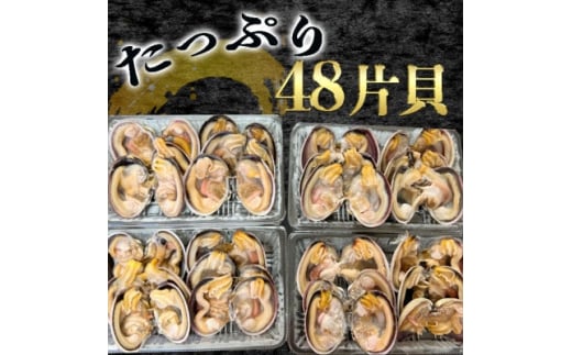 岬だよりの＜天然＞大あさり釣り餌用 6個入り×4袋セット