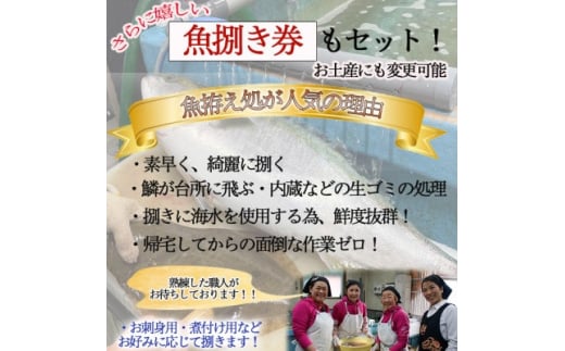 釣り船 乗船券 (10,000円分) 魚捌き利用券付き ルアー乗合・大物乗合・中物乗合・仕立船