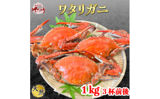 ＜大好評＞天然 ボイル ワタリガニ (オス)1kg [3杯前後]