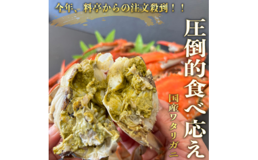 ＜大好評＞天然 ボイル ワタリガニ (オス)1kg [3杯前後]