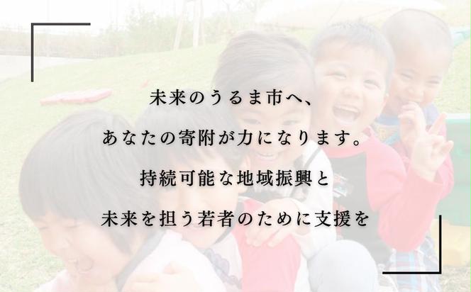 《返礼品なし》一口1000円 沖縄県うるま市への寄附 応援寄附金