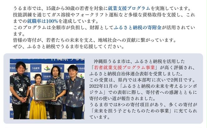 《返礼品なし》一口1000円 沖縄県うるま市への寄附 応援寄附金