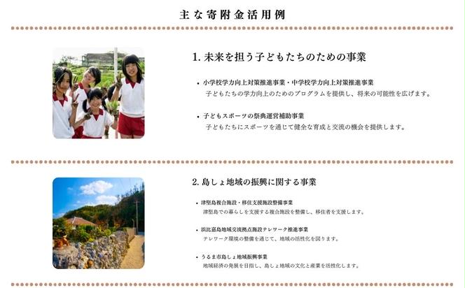 《返礼品なし》一口1000円 沖縄県うるま市への寄附 応援寄附金