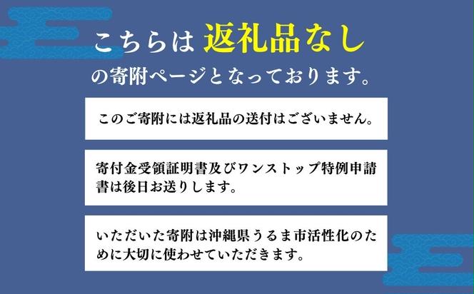 《返礼品なし》一口1000円 沖縄県うるま市への寄附 応援寄附金