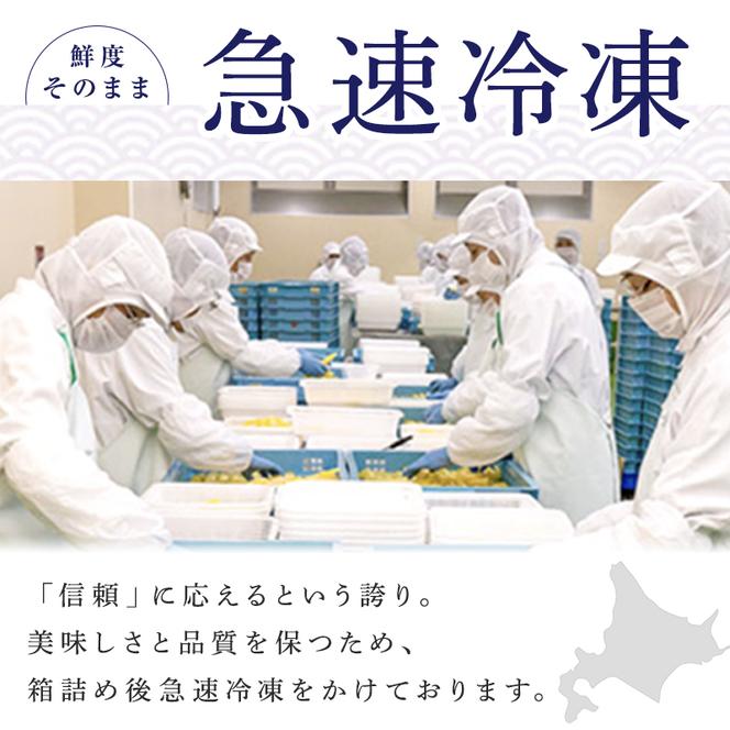 魚卵 定期便 6ヵ月 すじこ 訳あり 北海道 紅鮭 筋子 醤油 漬け 500g (250g×2個入) 加藤水産 ひとくちカット 不揃い 小分け つまみ おつまみ ごはんのお供 惣菜 おかず 珍味 海鮮 海産物 海の幸 魚介 魚介類 鮭 いくら イクラ 訳アリ わけあり