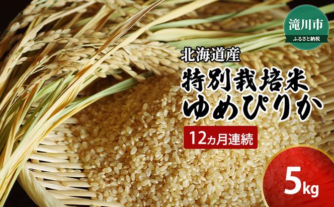 令和7年産米 北海道 滝川産 特別栽培玄米ゆめぴりか 5kg 12ヵ月連続｜北海道 滝川市 特別栽培 特別栽培米 お米 米 ご飯 玄米 ゆめぴりか ユメピリカ 定期便 連続お届け