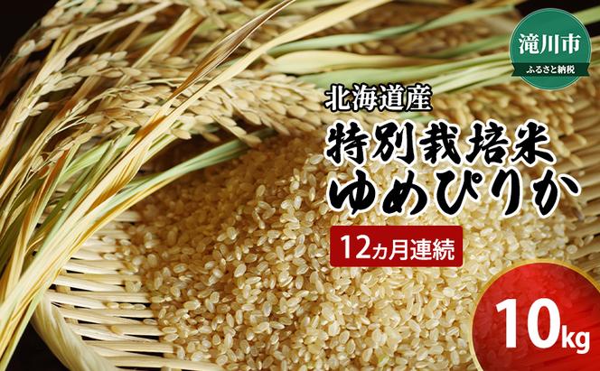 令和6年産米 北海道 滝川産 特別栽培玄米ゆめぴりか 10kg 12ヵ月連続｜北海道 滝川市 特別栽培 特別栽培米 お米 米 ご飯 玄米 ゆめぴりか ユメピリカ 定期便 連続お届け