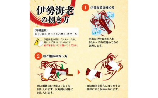 10月直送便 土佐獲れ 活伊勢海老 約700g（２尾～４尾） 天然 エビ　えび 伊勢エビ 海鮮 お刺身 刺し身 丸焼き しゃぶしゃぶ 故郷納税 ふるさとのうぜい 返礼品 高知県 高知 27000円