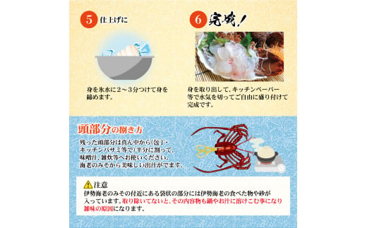 10月直送便 土佐獲れ 活伊勢海老 約700g（２尾～４尾） 天然 エビ　えび 伊勢エビ 海鮮 お刺身 刺し身 丸焼き しゃぶしゃぶ 故郷納税 ふるさとのうぜい 返礼品 高知県 高知 27000円