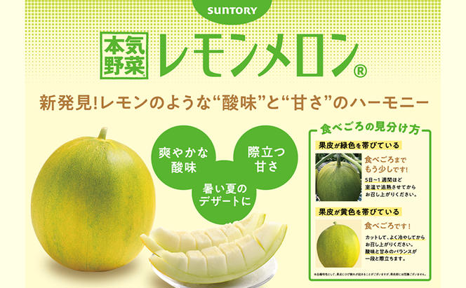 【希少！数量限定先行予約 2025年発送】 レモンメロン 2Lサイズ 1玉 北海道 富良野産 レモン メロン 新品種 富良野市 ふらの お中元 ギフト 水戸青果 送料無料