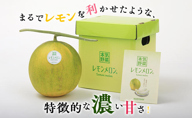 【希少！数量限定先行予約 2025年発送】 レモンメロン 3Lサイズ 1玉 北海道 富良野産 レモン メロン 新品種 富良野市 ふらの お中元 ギフト 水戸青果 送料無料