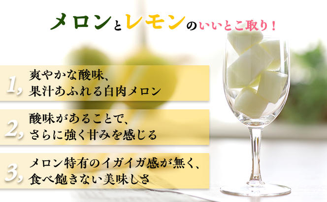 【希少！数量限定先行予約 2025年発送】 レモンメロン 3Lサイズ 1玉 北海道 富良野産 レモン メロン 新品種 富良野市 ふらの お中元 ギフト 水戸青果 送料無料