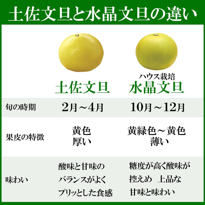 水晶文旦 特選ご贈答用 特大 約1.5kg（2個入） ぶんたん ブンタン 水晶文旦 果物 柑橘 フルーツ 特大サイズ お取り寄せ 特産品 美味しい 高知県産 美味しい ギフト 贈答品 贈り物