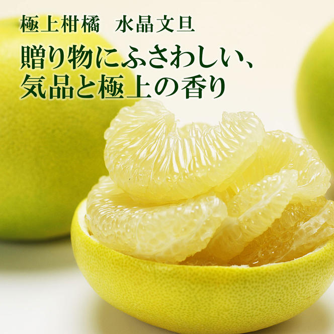 最高に美味しい特選水晶文旦 18 【公式通販】 最高に美味しい特選水晶文旦 18 【公式通販】