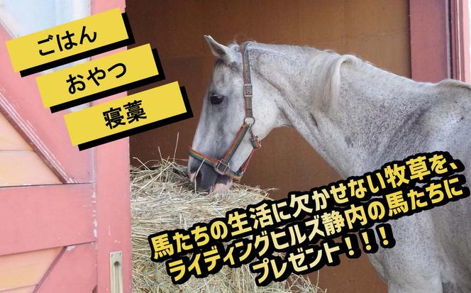 競走馬のふるさと 北海道 新ひだか町 ライディングヒルズ静内 馬 への 牧草ロール プレゼント 静内 うま サラブレッド ポニー 引退馬