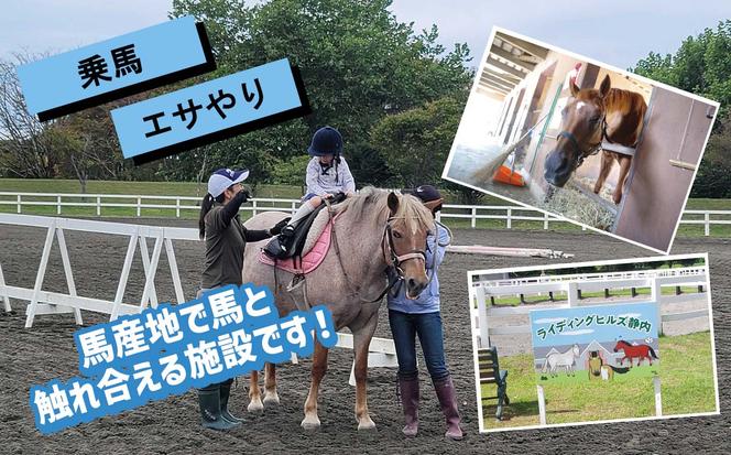 競走馬のふるさと 北海道 新ひだか町 ライディングヒルズ静内 馬 への 牧草ロール プレゼント 静内 うま サラブレッド ポニー 引退馬