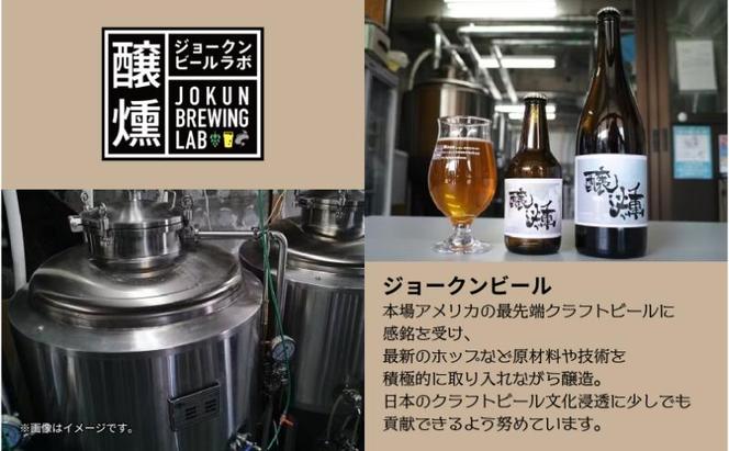 クラフトビール 2種 330ml 計4本 Hazy IPA ライトクラフトビール ビール 地ビール 瓶ビール ハイジーIPA エール お酒 酒 ホップ 麦芽 人気 晩酌 宅飲み 家飲み 飲み比べ お取り寄せ 冷蔵 ジョークンビール 新潟県 十日町市