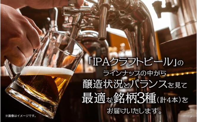 クラフトビール IPA 3種 330ml 計4本 ビール 地ビール 瓶ビール Hazy IPA ヘイジーIPA お酒 酒 アルコール 瓶 ホップ 麦芽 酒粕 人気 定番 晩酌 宅飲み 家飲み ギフト 飲み比べ お取り寄せ 冷蔵 ジョークンビール 新潟県 十日町市