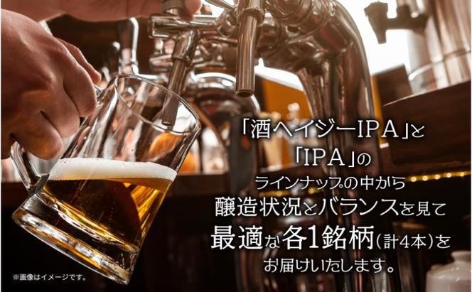 クラフトビール 2種 330ml 計4本 酒ヘイジーIPA IPA ビール 地ビール 瓶ビール Hazy IPA ヘイジーIPA お酒 酒 ホップ 麦芽 コーヒー人気 晩酌 宅飲み 家飲み 飲み比べ お取り寄せ ギフト 冷蔵 ジョークンビール 新潟県 十日町市