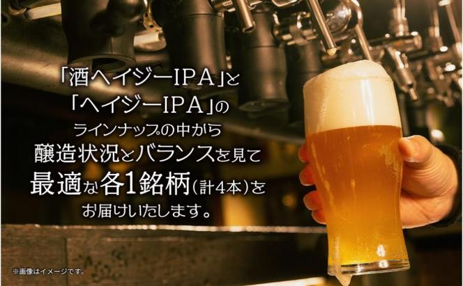 クラフトビール 2種 330ml 計4本 酒ヘイジーIPA Hazy IPA ビール 地ビール 瓶ビール ヘイジーIPA お酒 酒 ホップ 麦芽 コーヒー人気 晩酌 宅飲み 家飲み 飲み比べ お取り寄せ ギフト 冷蔵 ジョークンビール 新潟県 十日町市