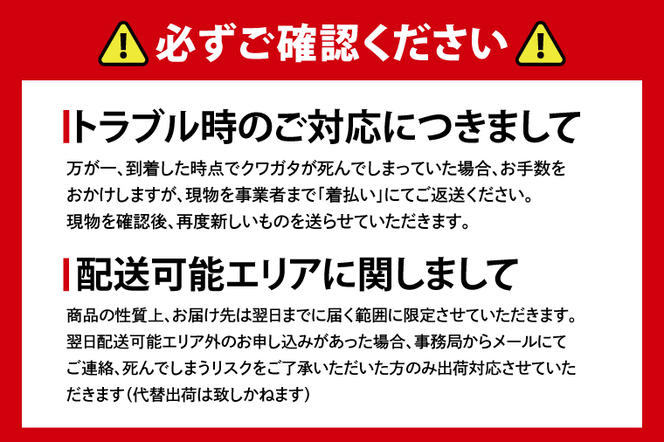 国産オオクワガタ♂♀ペア飼育セット【クワガタ クワガタムシ カブトムシ 昆虫 虫 国産 飼育 セット 夏休み 自由研究 鹿嶋市 茨城県】（KBY-2）