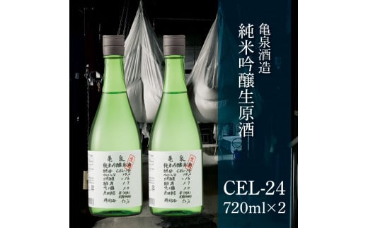 土佐の魚とお酒のおきゃくセット A（生鰹タタキコース）生かつおの藁焼きタタキ（タレ・薬味付き）500～700g 3～5人前 わら焼き 純米吟醸生原酒 CEL-24 720ml×2本 日本酒 お酒