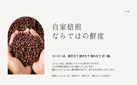 自家焙煎コーヒー「ラオス ティピカ種 ピーベリー」（豆）200g