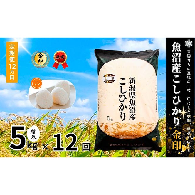 【定期便】魚沼産コシヒカリ金印(精米)5kg　全12回 米 お米 こしひかり 精米 中魚沼 定期 新潟県 十日町市