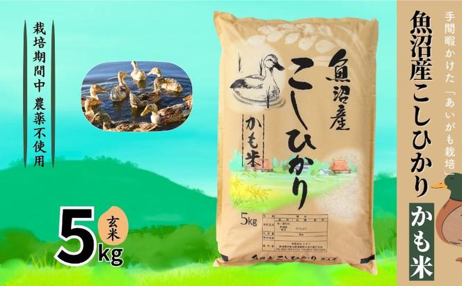 【令和6年産】魚沼産コシヒカリかも米(玄米)5kg　※栽培期間中農薬不使用 米 お米 こしひかり 玄米 かも米 中魚沼 新潟県 十日町市