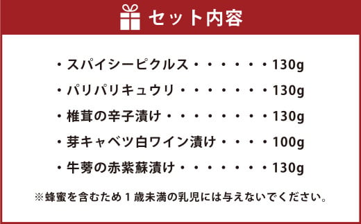 なごみやお試しセット 5種 合計620g セット ピクルス きゅうり 椎茸 芽キャベツ 牛蒡 ゴボウ 漬物 漬け物 詰合せ 詰め合わせ 野菜 野菜漬け 茨城県 守谷市 送料無料