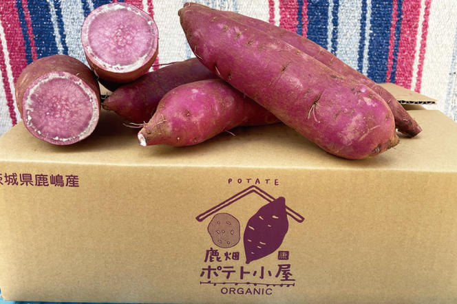 ポテト小屋の生さつまいも 【ふくむらさき】 5kg 【鹿嶋市 減農薬 サツマイモ 紫いも 甘い アントシアニン 抗酸化作用 老化予防効果 5キロ 10000円以下】 (KBR-8)