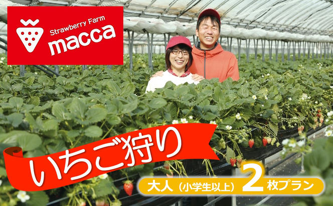 17-27 いちご畑maccaで使えるいちご狩り（小学生以上２名）チケット