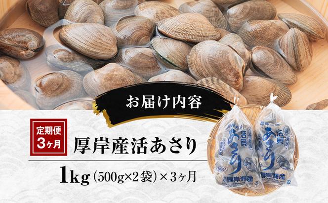 3カ月 定期便 北海道 厚岸産 訳あり 活あさり 500g×2(各月1kg、合計3kg) アサリ