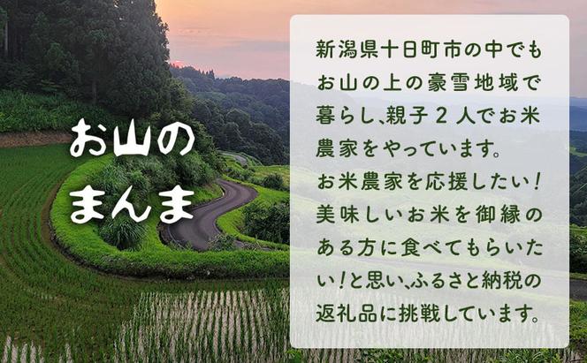 農家直送 新潟県十日町市 魚沼産天水田 コシヒカリ お山のまんま 白米 5kg×2袋セット お米 