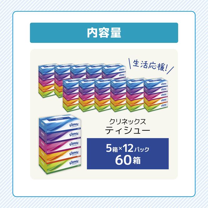 ティッシュ クリネックス ティシュー 1ケース （5箱入×12パック） ティッシュペーパー セット 柔らかい 節約 日用品 日用雑貨 消耗品 備蓄 備蓄品 備蓄用 防災 災害 ボックスティッシュ テッシュ ペーパー ローリングストック 宮城 岩沼市