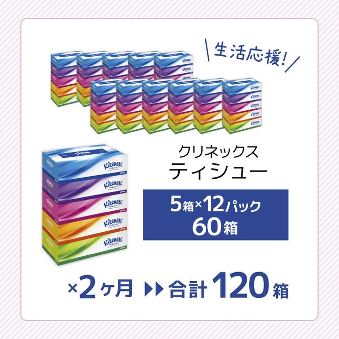 【2ヶ月連続定期便】ティッシュペーパー クリネックスティシュー 60箱 360枚（180組）5箱×12パック入り 日用品 消耗品 丈夫 ふんわり ボックスティッシュ リビング 寝室 社内 