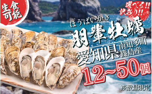 選べる 訳あり 牡蠣 かき 生食用 冷蔵 12～50個 朋輩牡蠣 愛知 南知多