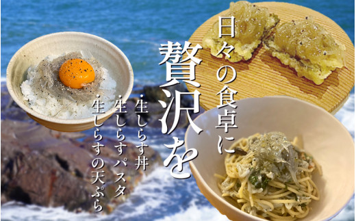 漁師がとれたてを即冷凍! 生しらす (しらす日本一の島 篠島産) 400g～1kg