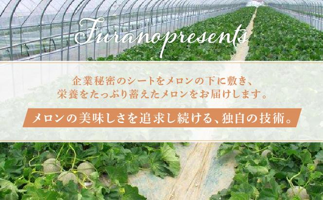 【2025年7月～発送】北海道 富良野市 赤肉 メロン 1.6kg×3玉 キングルビー ティアラ 品種指定不可 フルーツ ふらの (フラノプレゼンツ)