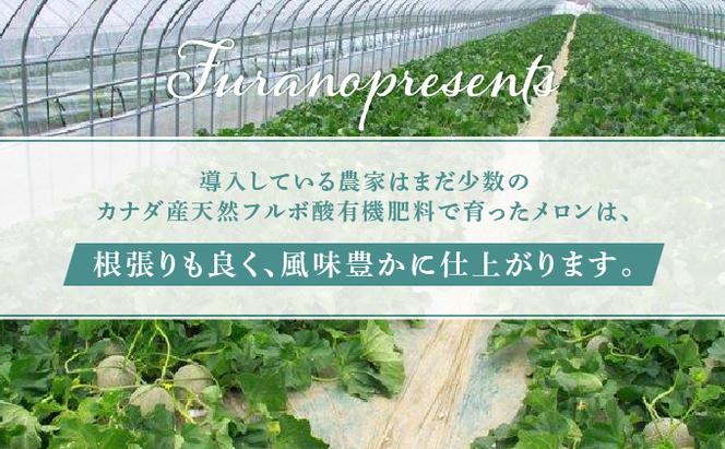 【2025年7月～発送】北海道 富良野市 青肉 メロン 1.6kg×3玉 フェリーチェ ふらの フルーツ 果物 ギフト 数量限定 (フラノプレゼンツ)