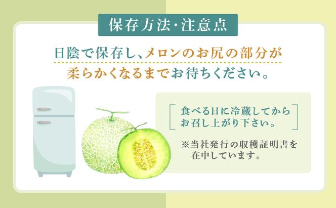 【2025年7月～発送】北海道 富良野市 青肉 メロン 2kg×1玉 フェリーチェ ふらの フルーツ 果物 ギフト 数量限定 (フラノプレゼンツ)